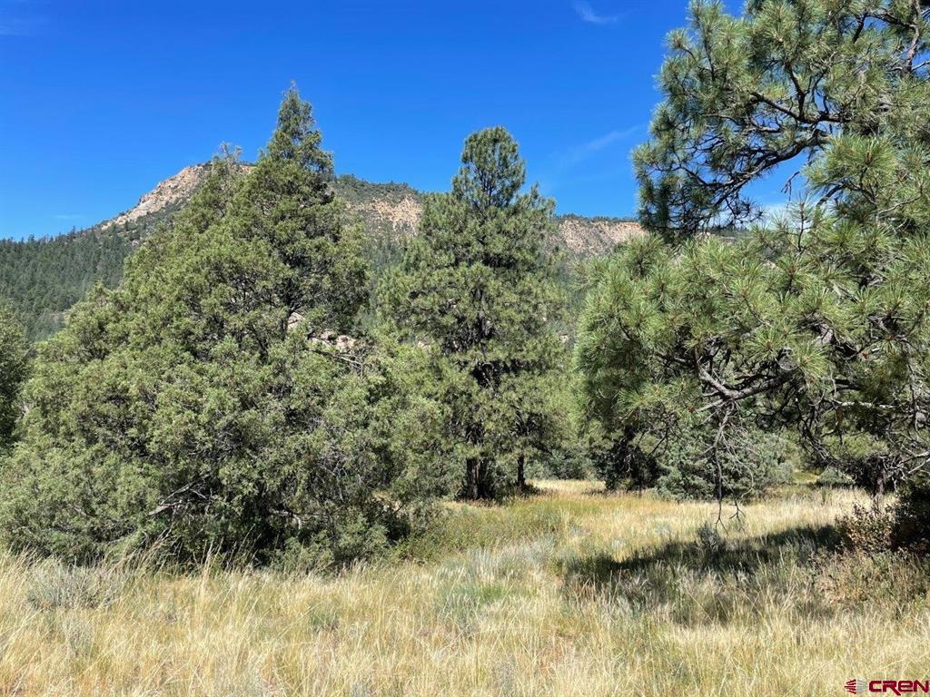 9178A Cr 500 Pagosa Springs CO 81147