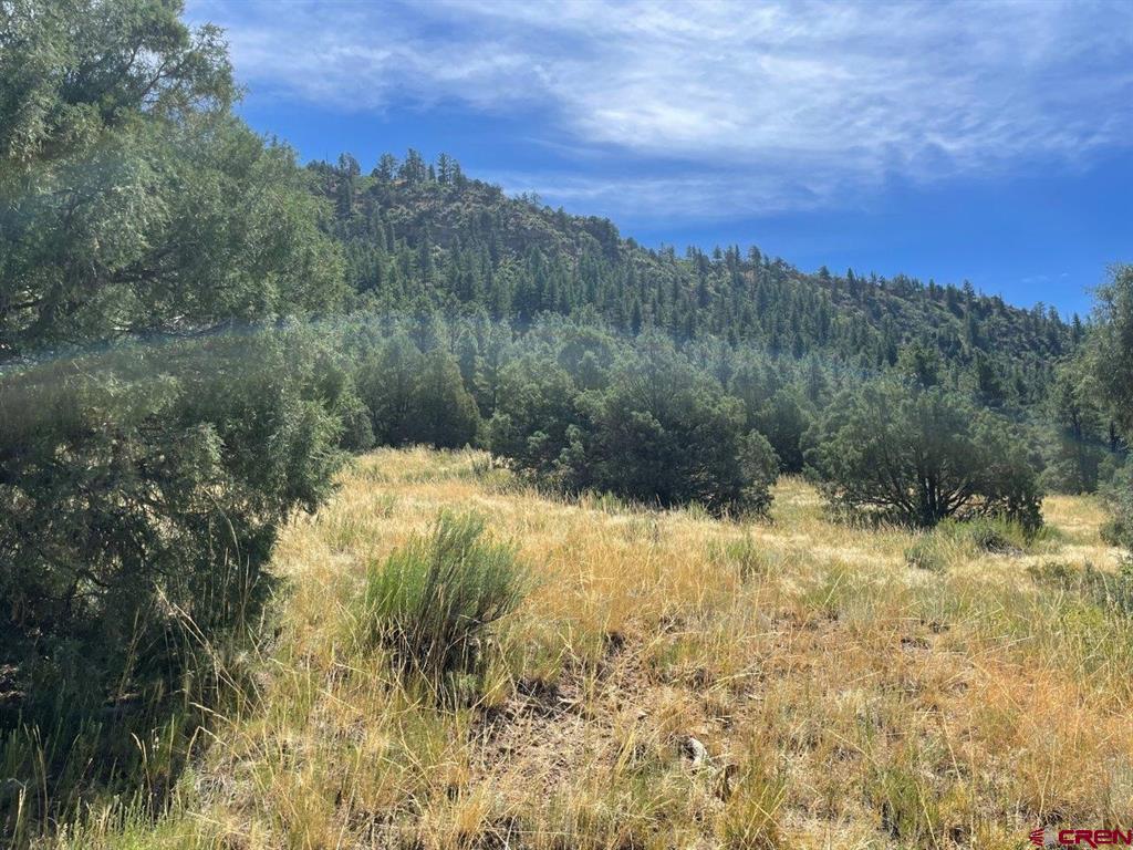 9178A Cr 500 Pagosa Springs CO 81147