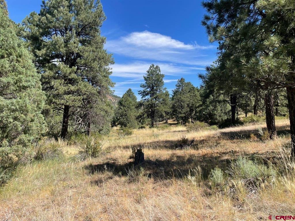 9178A Cr 500 Pagosa Springs CO 81147
