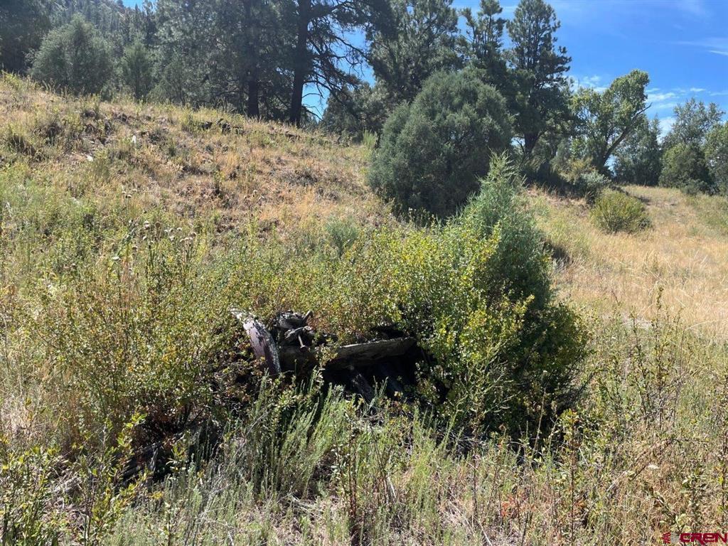 9178A Cr 500 Pagosa Springs CO 81147