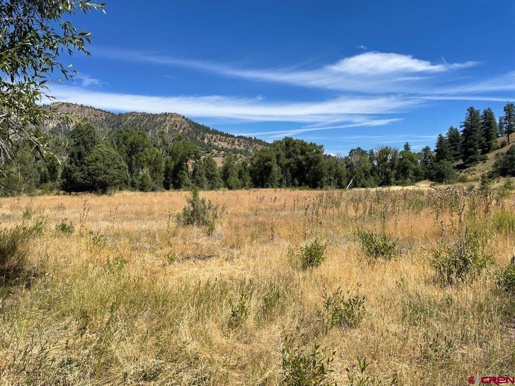 9178A Cr 500 Pagosa Springs CO 81147