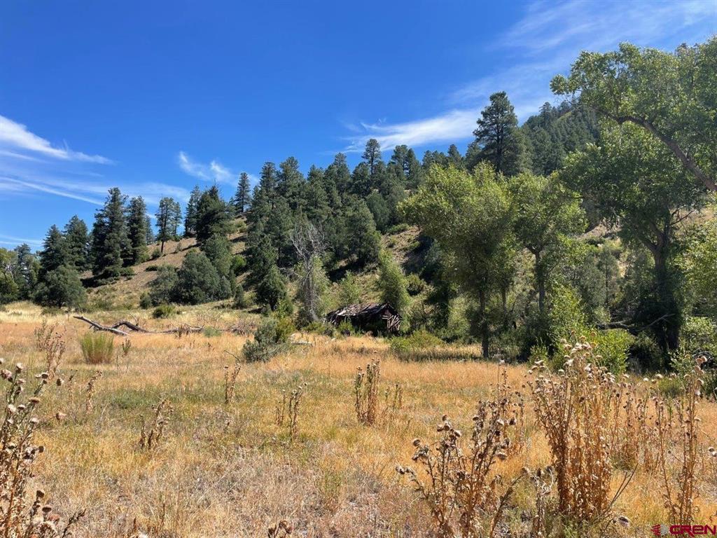 9178A Cr 500 Pagosa Springs CO 81147