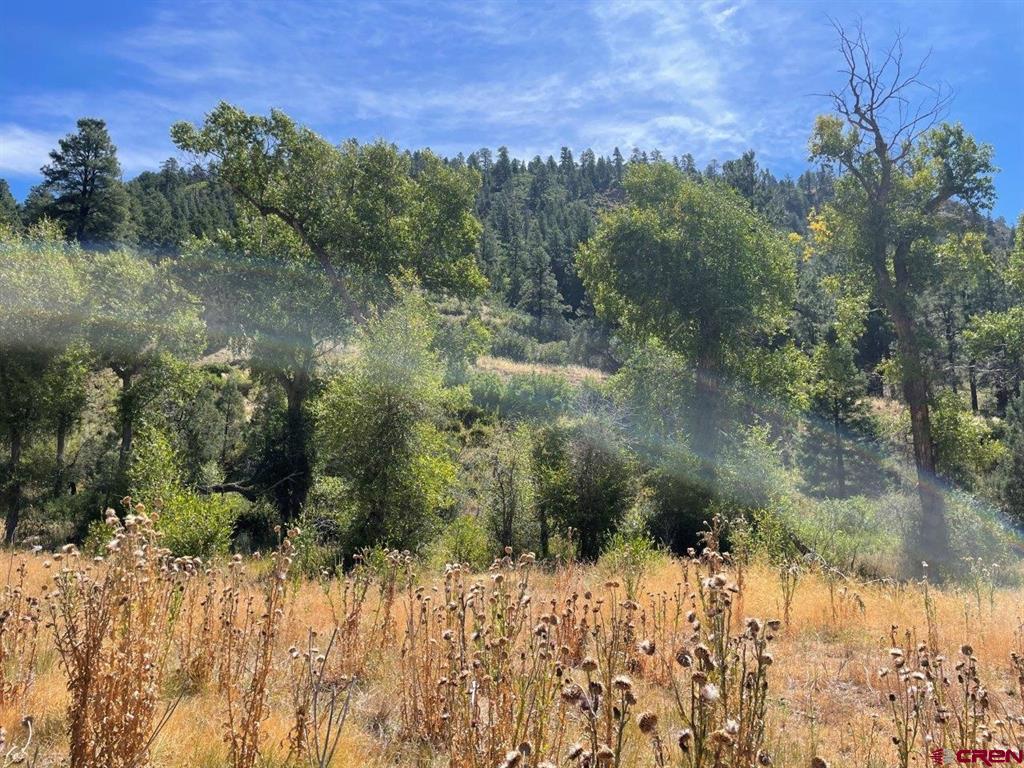 9178A Cr 500 Pagosa Springs CO 81147