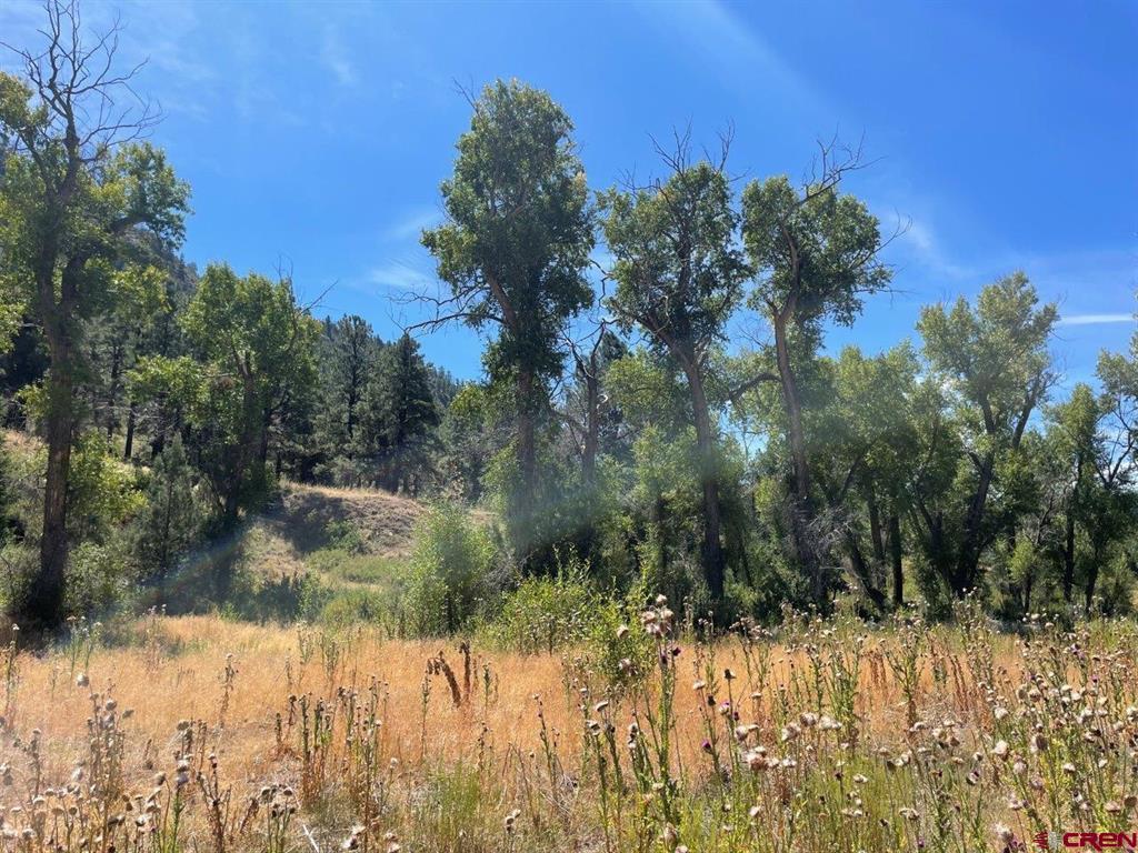 9178A Cr 500 Pagosa Springs CO 81147