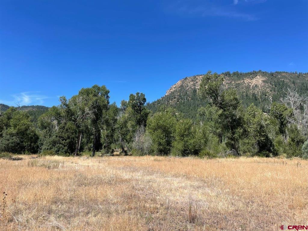 9178A Cr 500 Pagosa Springs CO 81147