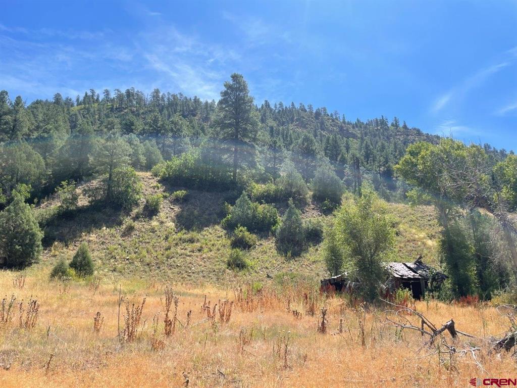 9178A Cr 500 Pagosa Springs CO 81147