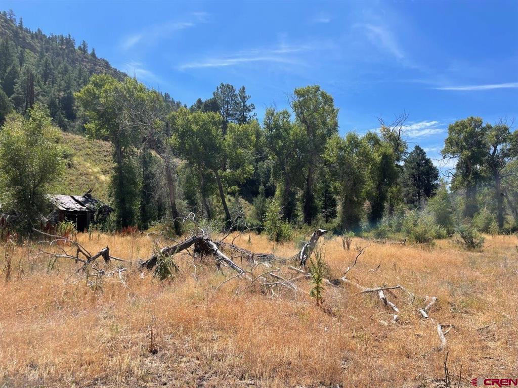 9178A Cr 500 Pagosa Springs CO 81147