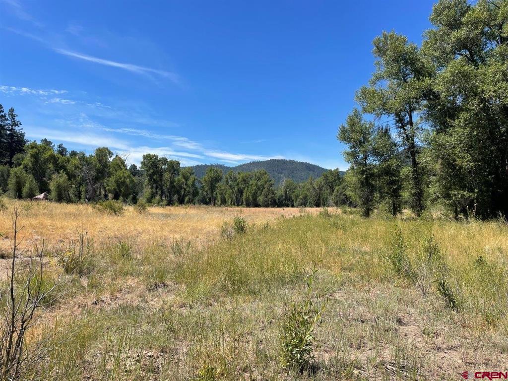 9178A Cr 500 Pagosa Springs CO 81147