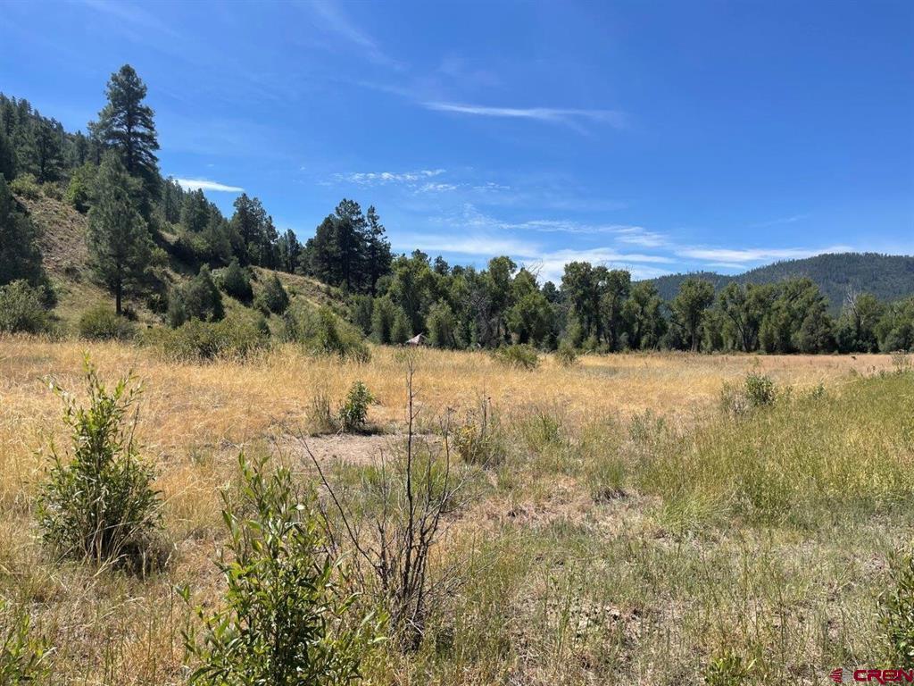 9178A Cr 500 Pagosa Springs CO 81147