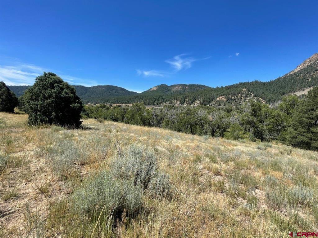 9178A Cr 500 Pagosa Springs CO 81147