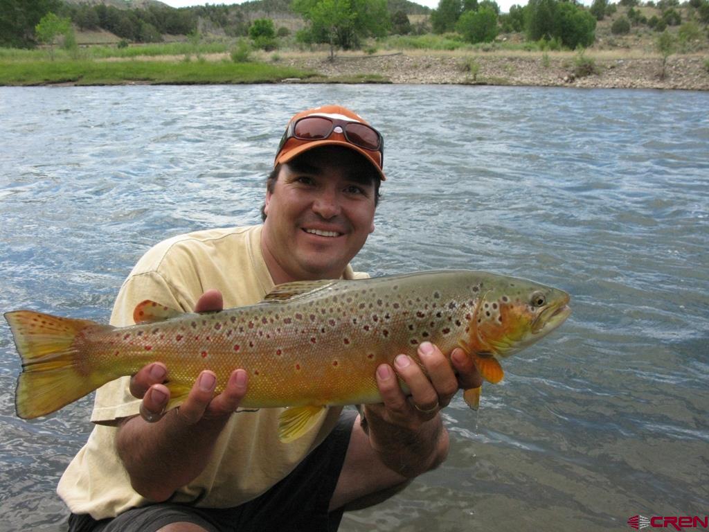 9178A Cr 500 Pagosa Springs CO 81147