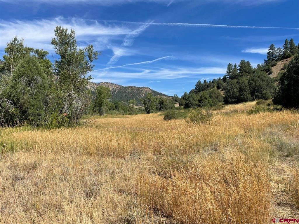 9178A Cr 500 Pagosa Springs CO 81147