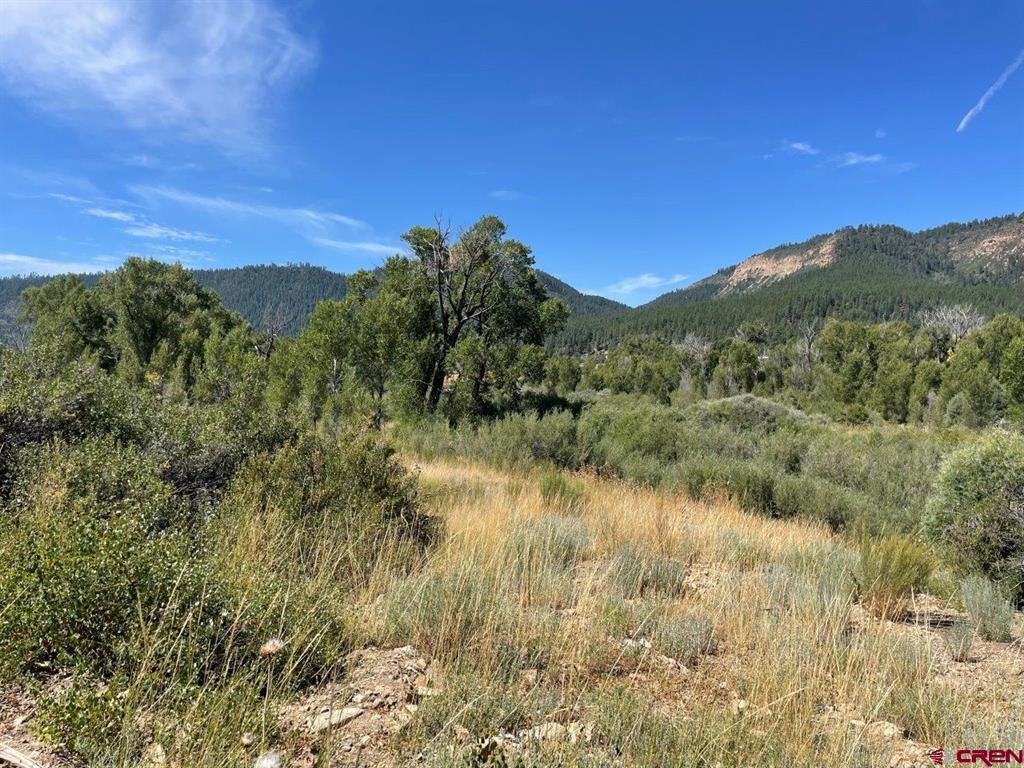 9178A Cr 500 Pagosa Springs CO 81147