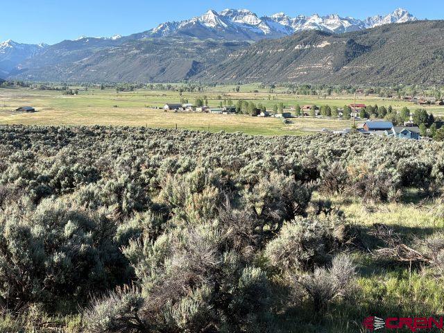 Tbd Vista Drive Ridgway CO 81432