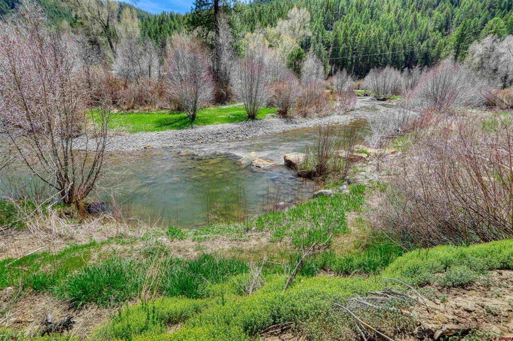 100 Cr 339 Pagosa Springs CO 81147