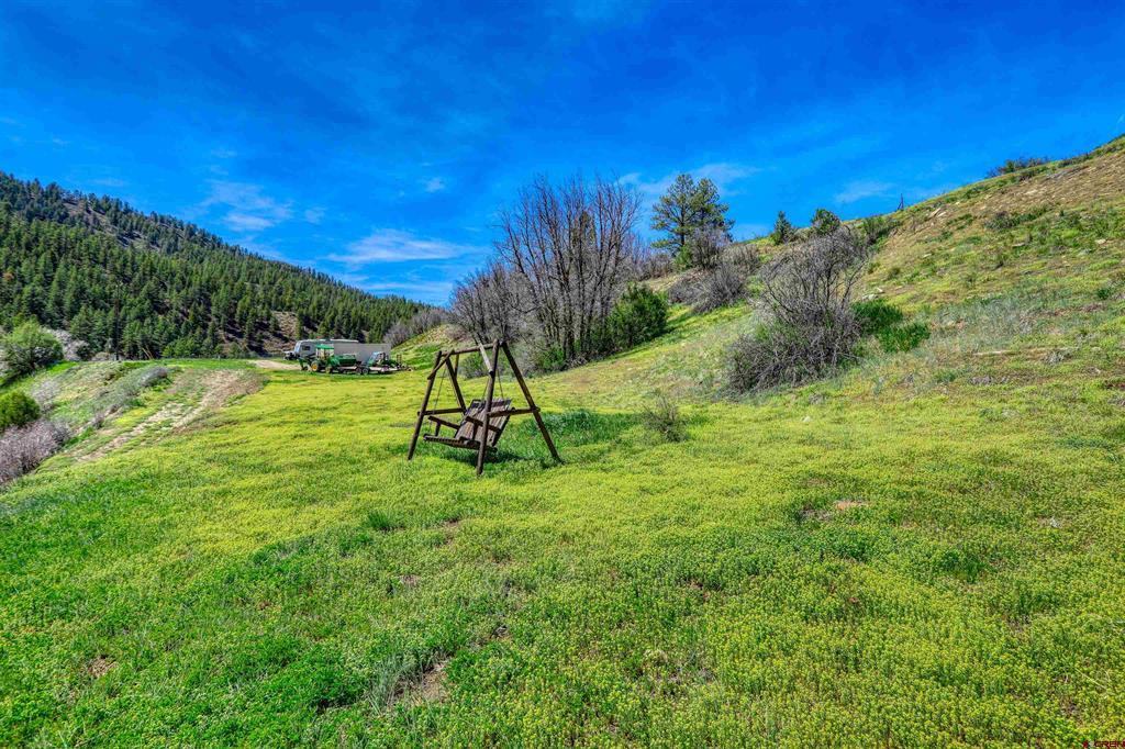 100 Cr 339 Pagosa Springs CO 81147
