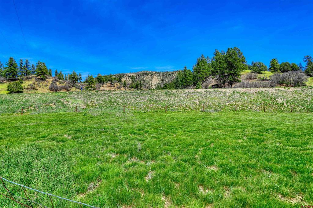 100 Cr 339 Pagosa Springs CO 81147