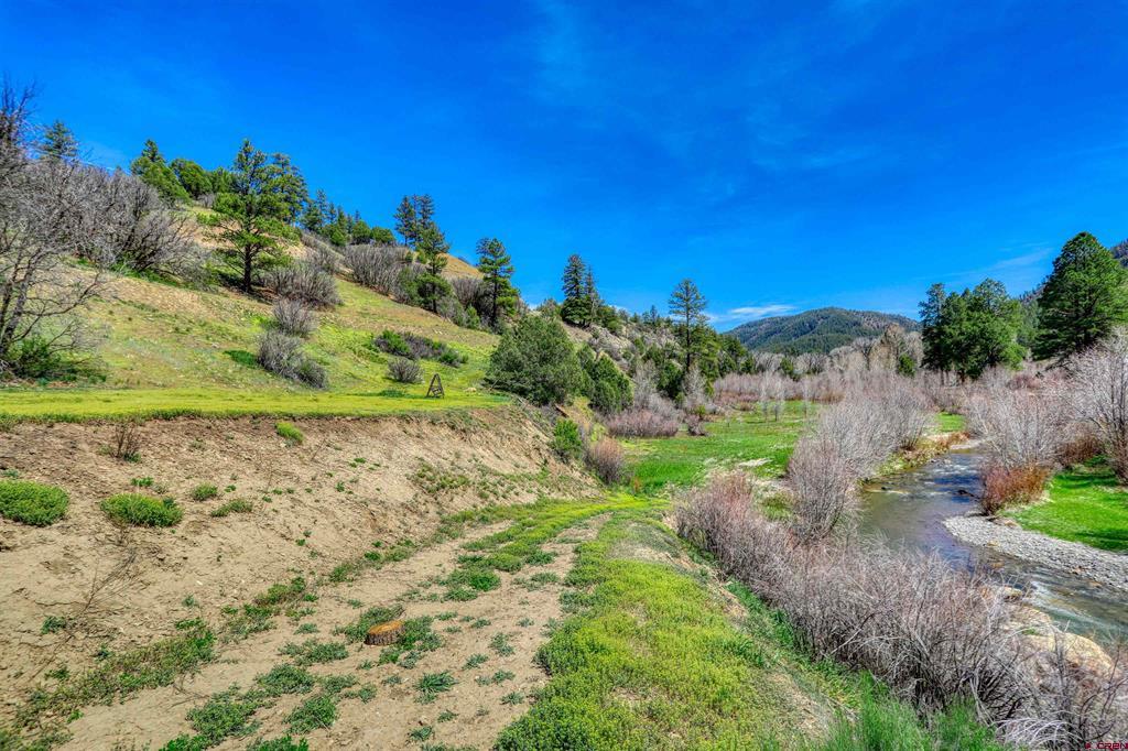 100 Cr 339 Pagosa Springs CO 81147