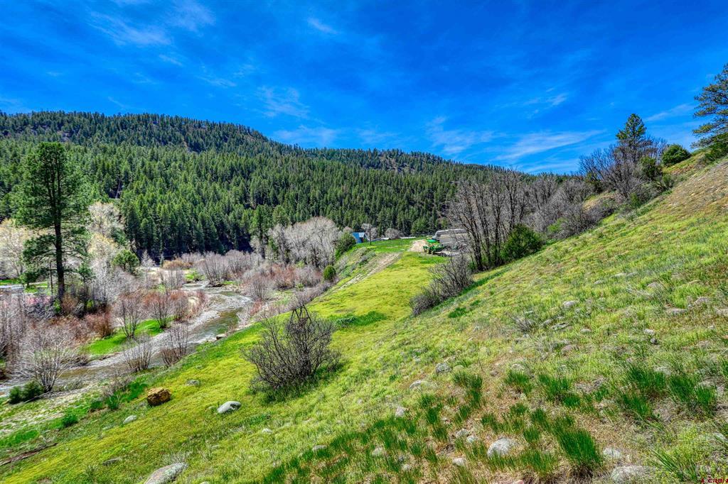 100 Cr 339 Pagosa Springs CO 81147