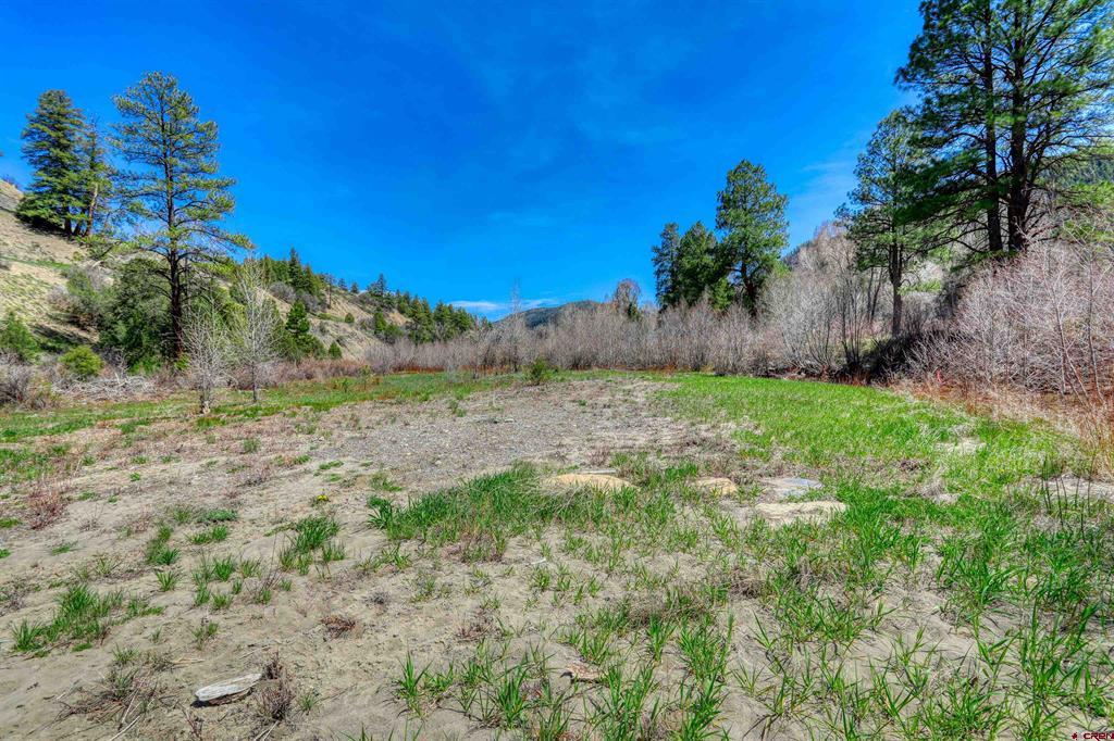 100 Cr 339 Pagosa Springs CO 81147