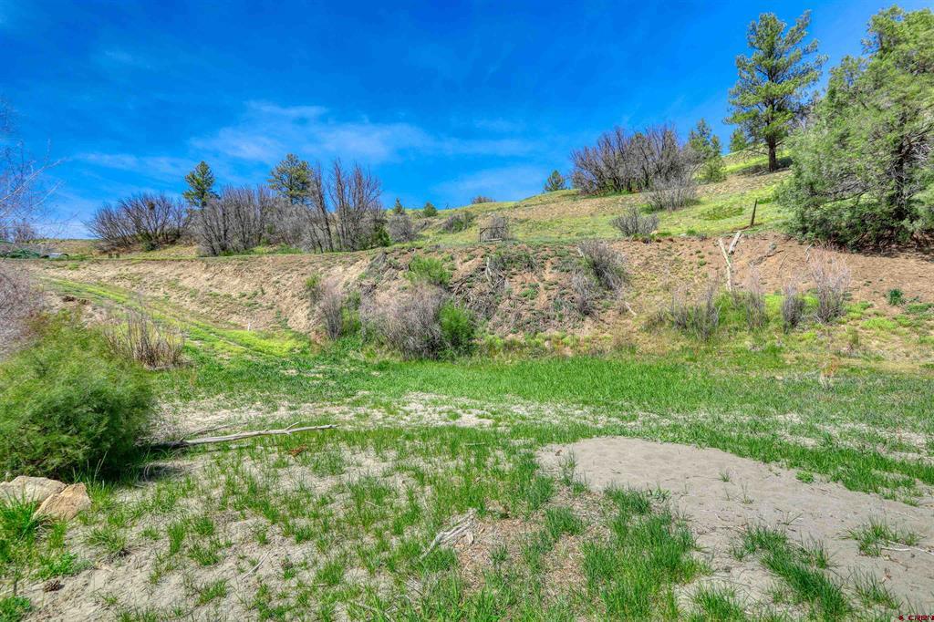100 Cr 339 Pagosa Springs CO 81147