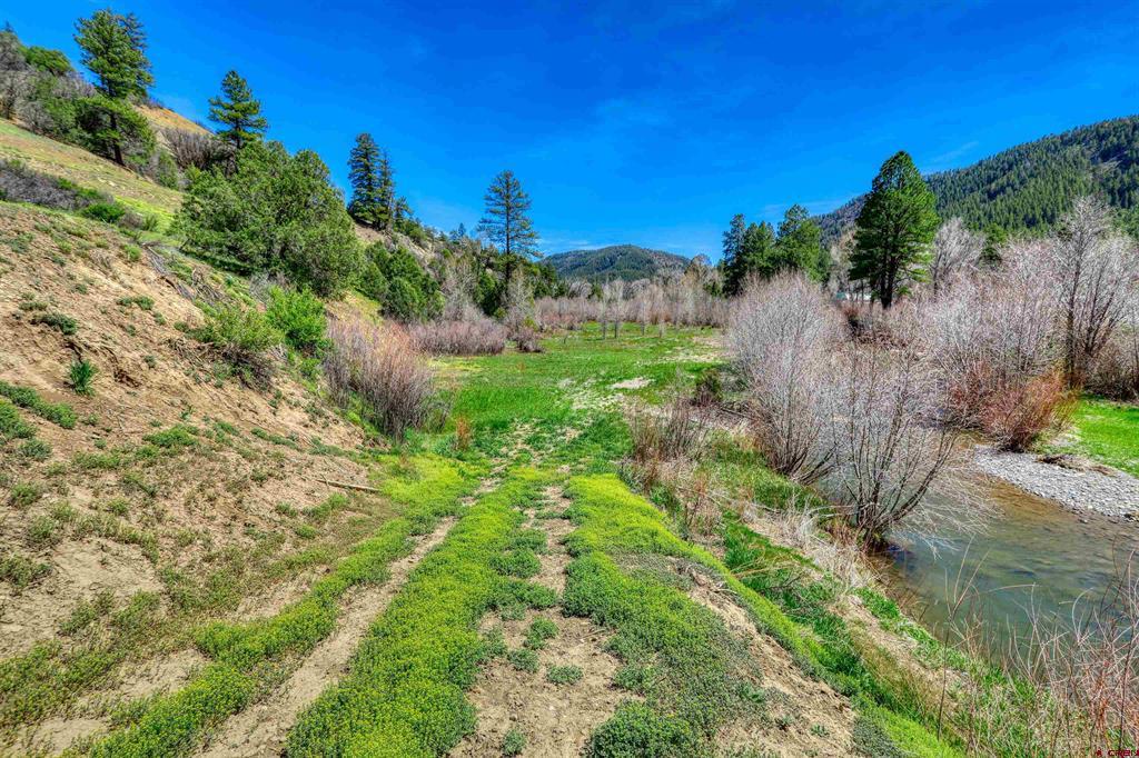 100 Cr 339 Pagosa Springs CO 81147