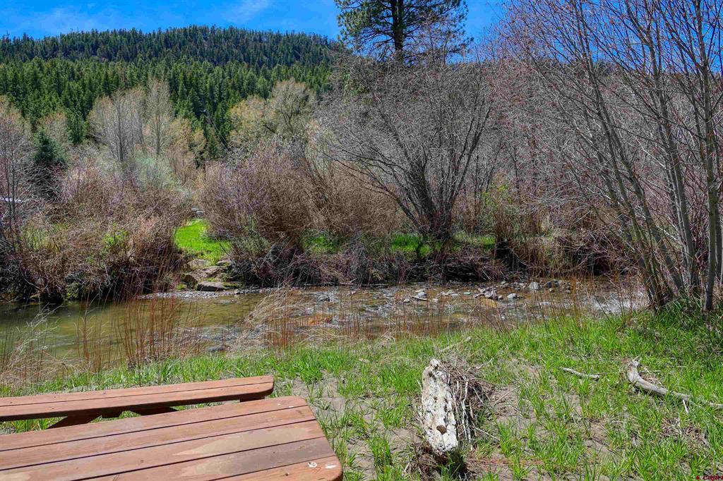 100 Cr 339 Pagosa Springs CO 81147