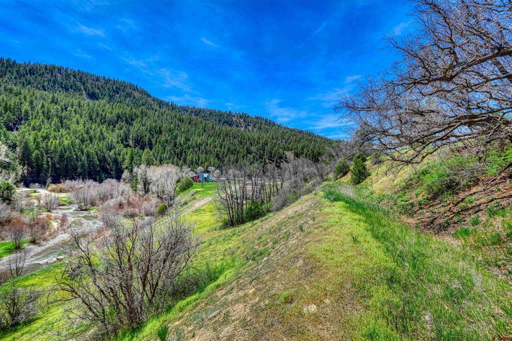 100 Cr 339 Pagosa Springs CO 81147