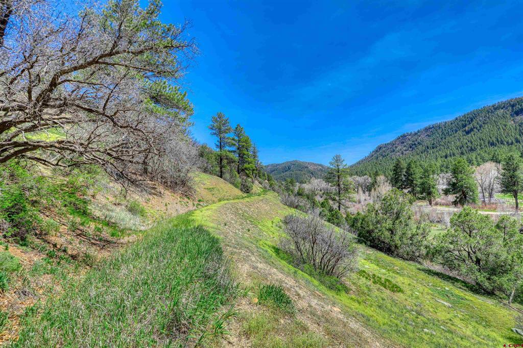 100 Cr 339 Pagosa Springs CO 81147