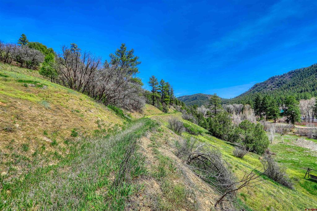 100 Cr 339 Pagosa Springs CO 81147