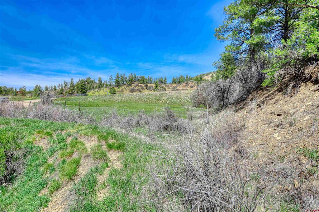 100 Cr 339 Pagosa Springs CO 81147