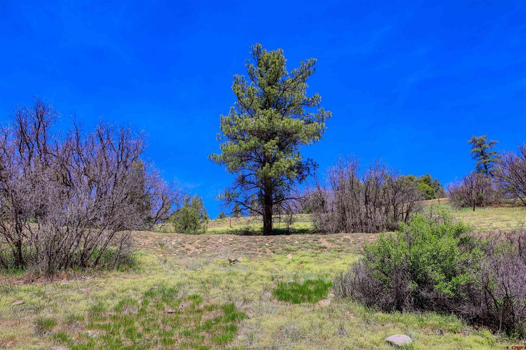 100 Cr 339 Pagosa Springs CO 81147