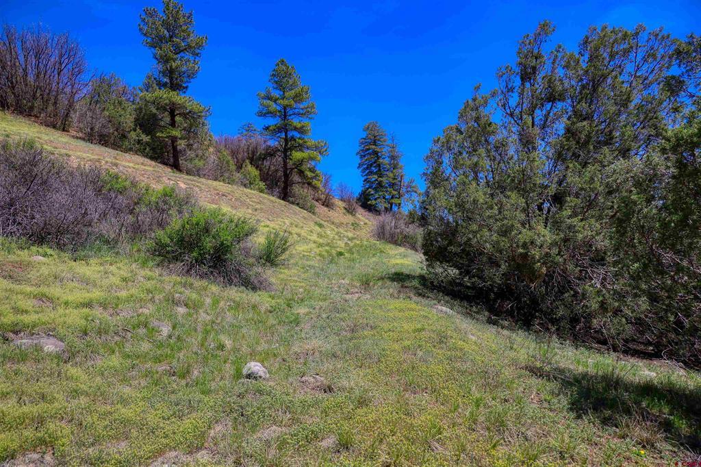100 Cr 339 Pagosa Springs CO 81147
