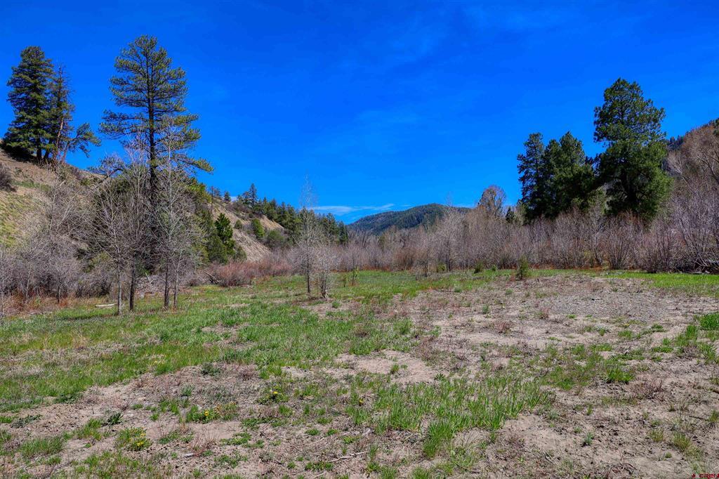 100 Cr 339 Pagosa Springs CO 81147