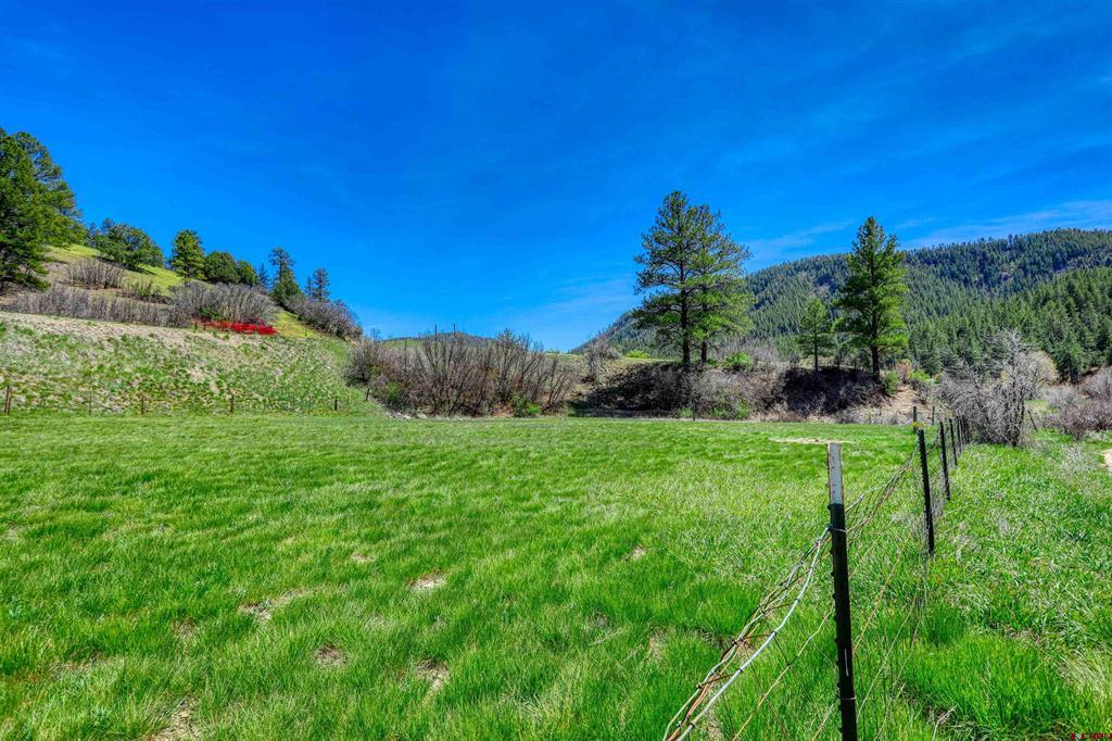 100 Cr 339 Pagosa Springs CO 81147