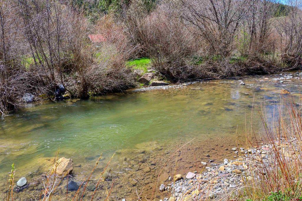 100 Cr 339 Pagosa Springs CO 81147