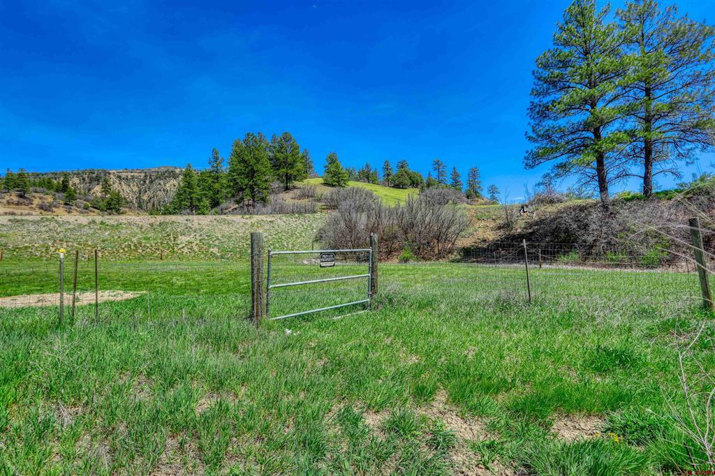 100 Cr 339 Pagosa Springs CO 81147