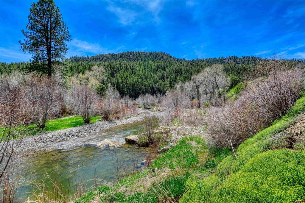 100 Cr 339 Pagosa Springs CO 81147