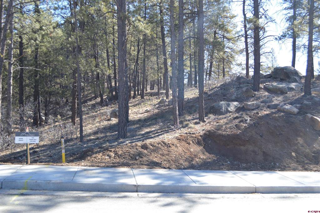 755 Tipple Avenue (Lot 149) Durango CO 81301