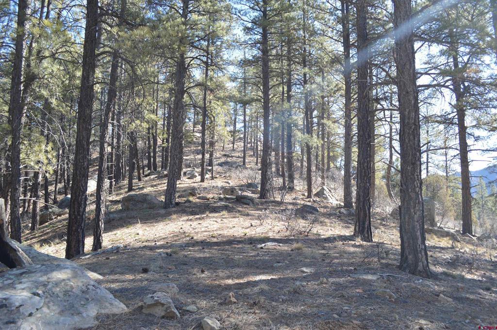 755 Tipple Avenue (Lot 149) Durango CO 81301