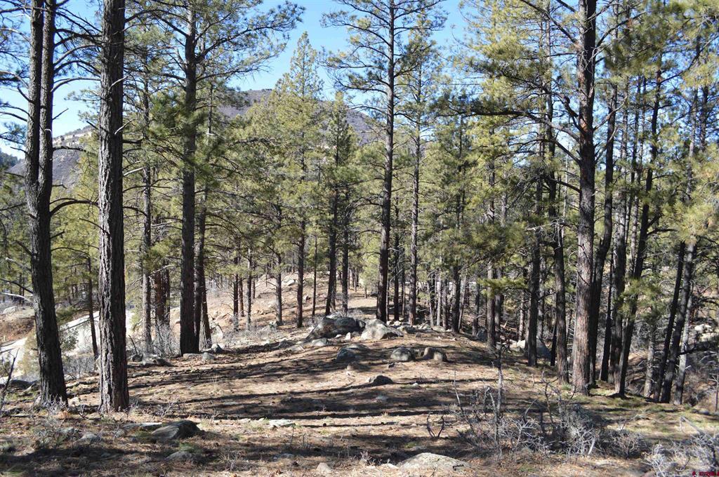 755 Tipple Avenue (Lot 149) Durango CO 81301
