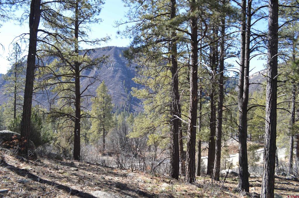 755 Tipple Avenue (Lot 149) Durango CO 81301
