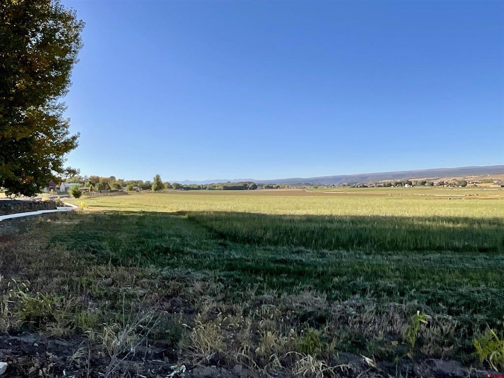 Tbd Inverness Court Montrose CO 81403