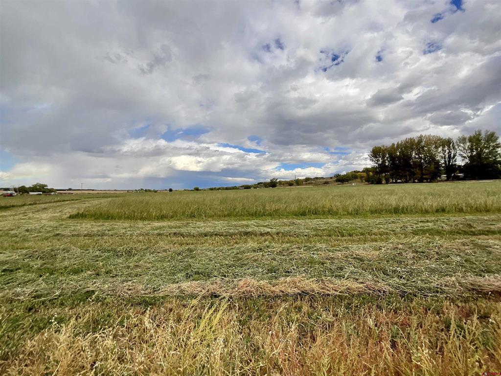 Tbd Inverness Court Montrose CO 81403