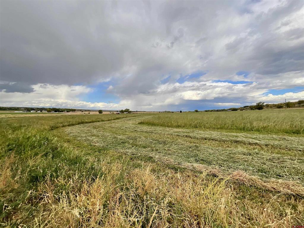 Tbd Inverness Court Montrose CO 81403