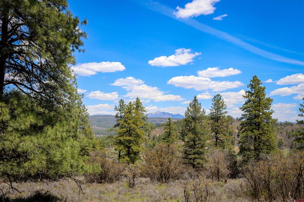 1025 Bobs Place Pagosa Springs CO 81147
