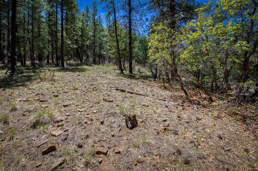 1025 Bobs Place Pagosa Springs CO 81147