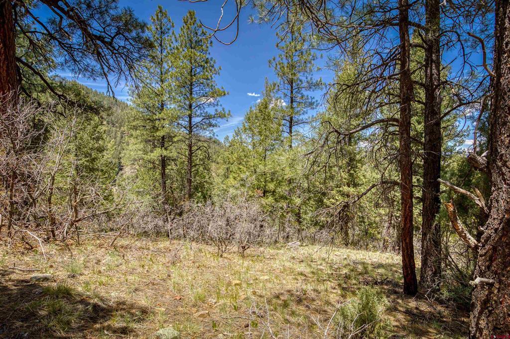 1025 Bobs Place Pagosa Springs CO 81147