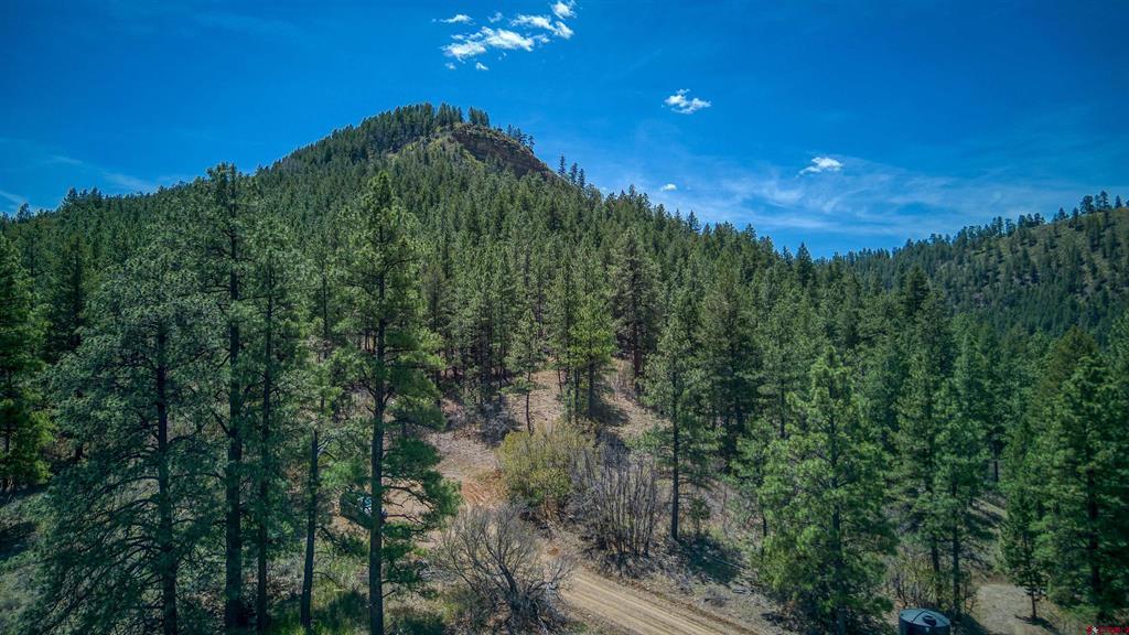 1025 Bobs Place Pagosa Springs CO 81147