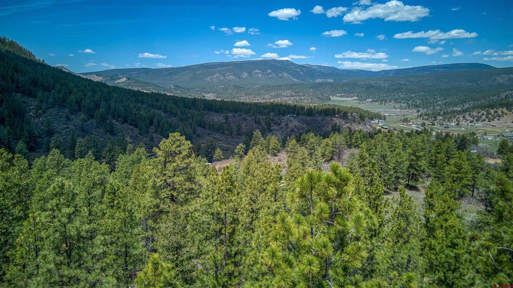 1025 Bobs Place Pagosa Springs CO 81147